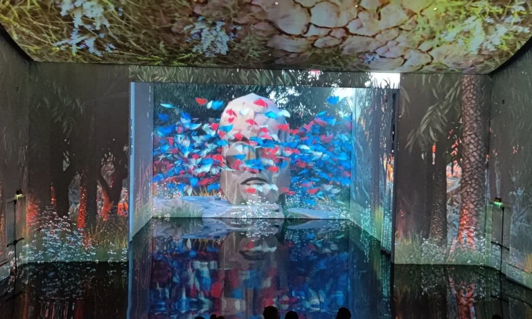 How the UAE Is Curating the Soul of the Internet