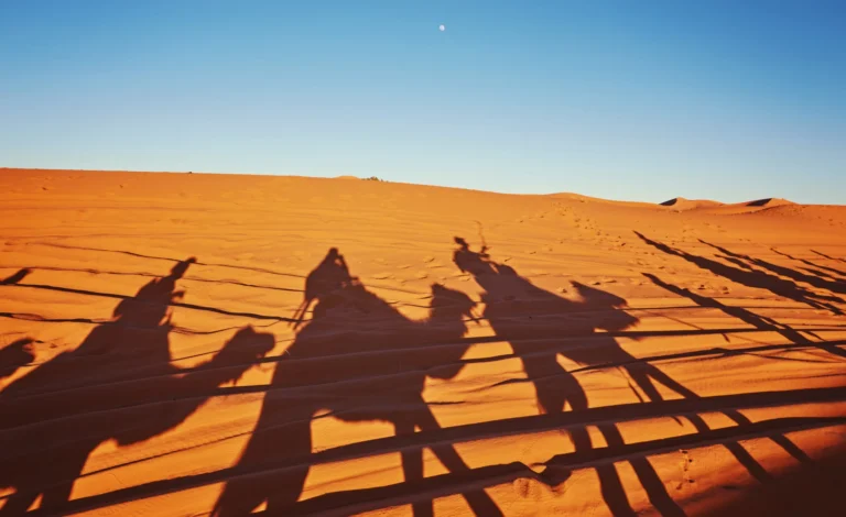 The Revival of Desert Nomad Routes: Mapping Memory in the UAE’s Empty Quarters
