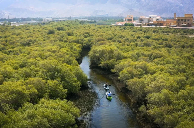 Ras Al Khaimah Wellness Haven