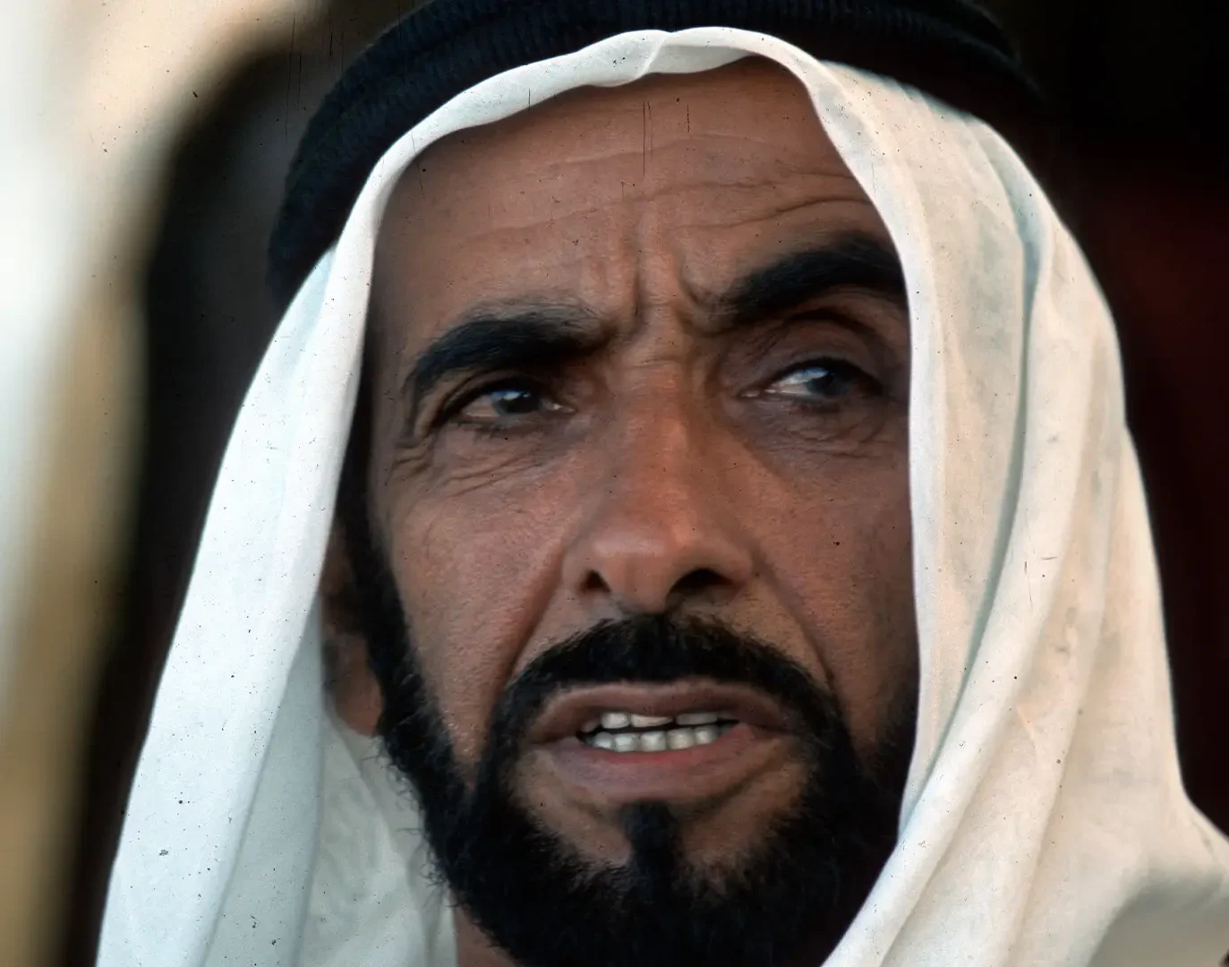 Zayed National Museum