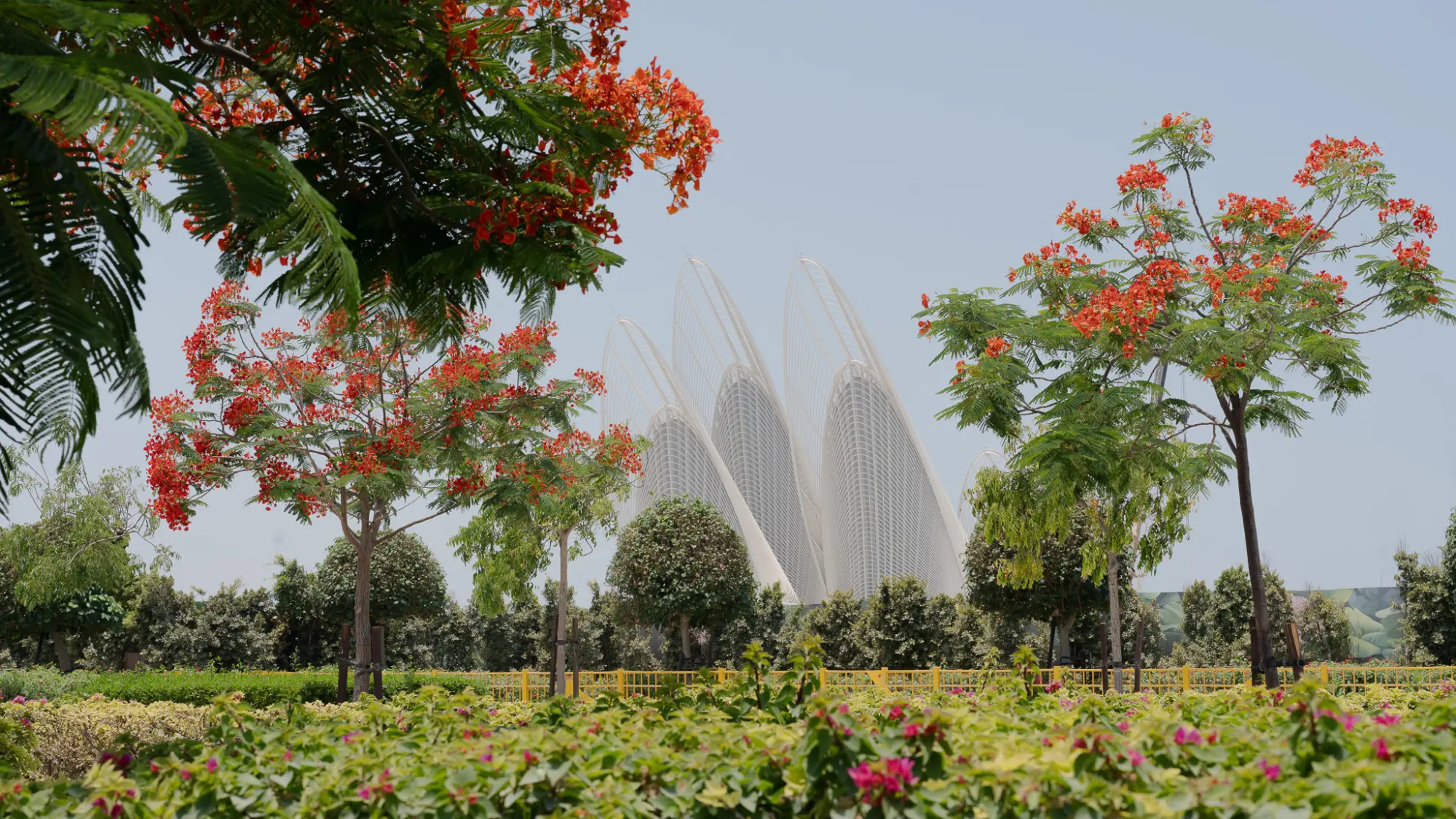 Zayed National Museum