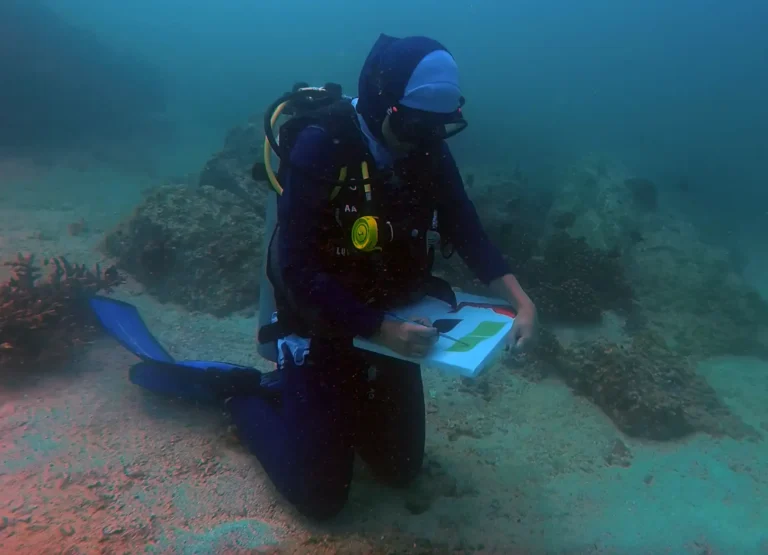 Maisoon Al Saleh: Reimagining Heritage Through a Contemporary Lens