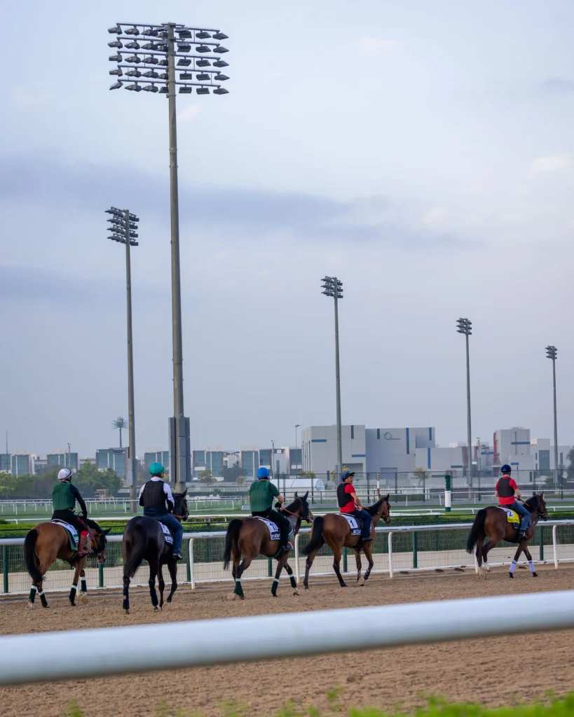 Inside Dubai World Cup, Where Horses and High Society Collide, Gorgeous Glory in the Desert