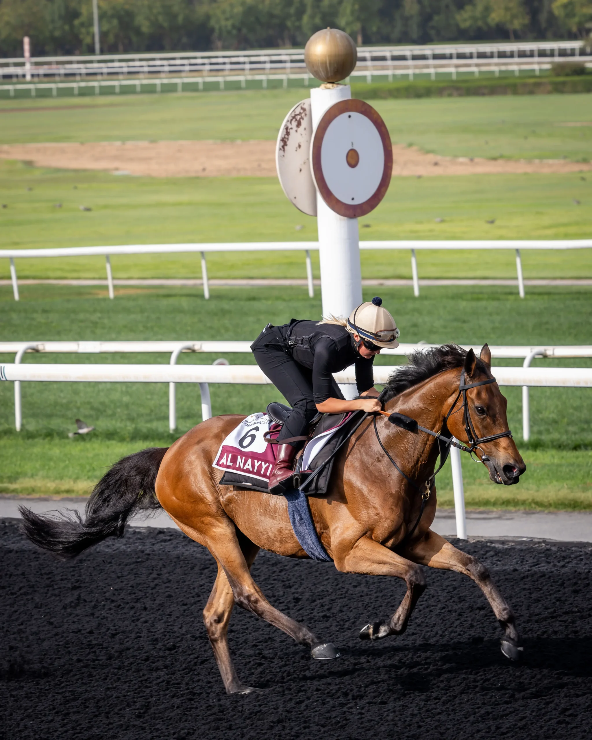 Inside Dubai World Cup, Where Horses and High Society Collide, Gorgeous Glory in the Desert