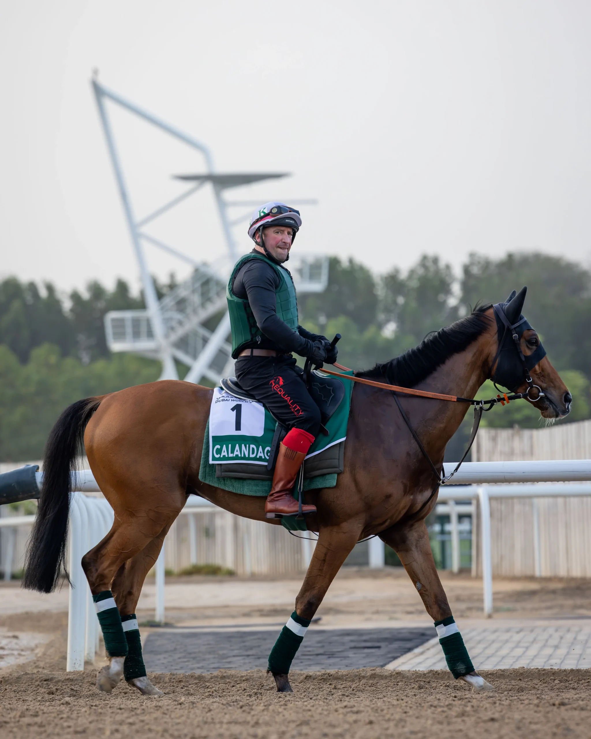 Inside Dubai World Cup, Where Horses and High Society Collide, Gorgeous Glory in the Desert