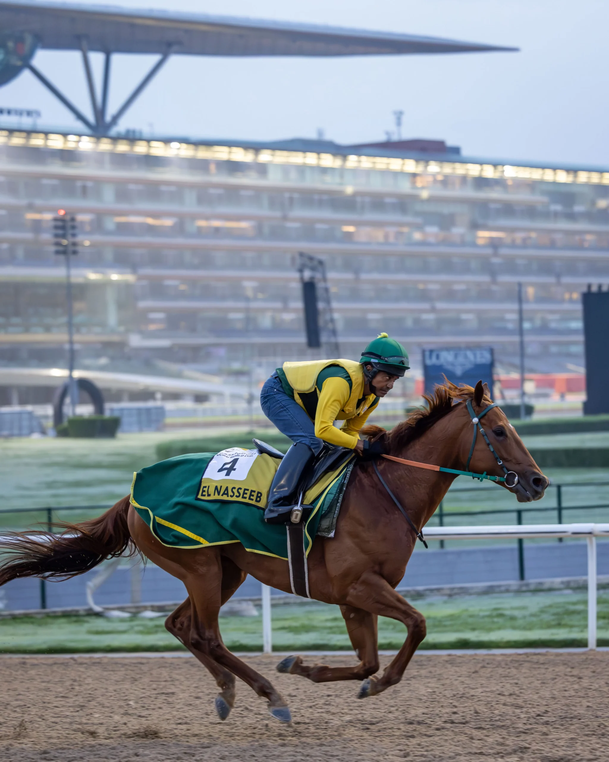 Inside Dubai World Cup, Where Horses and High Society Collide, Gorgeous Glory in the Desert