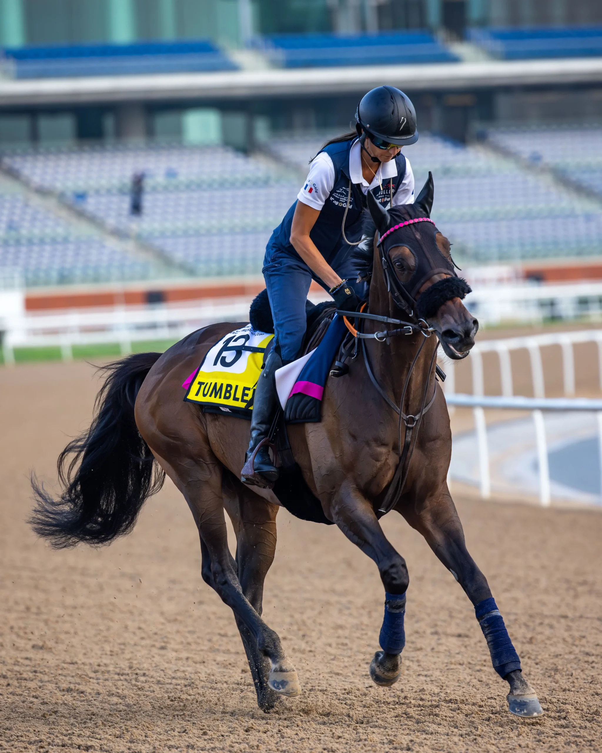 Inside Dubai World Cup, Where Horses and High Society Collide, Gorgeous Glory in the Desert