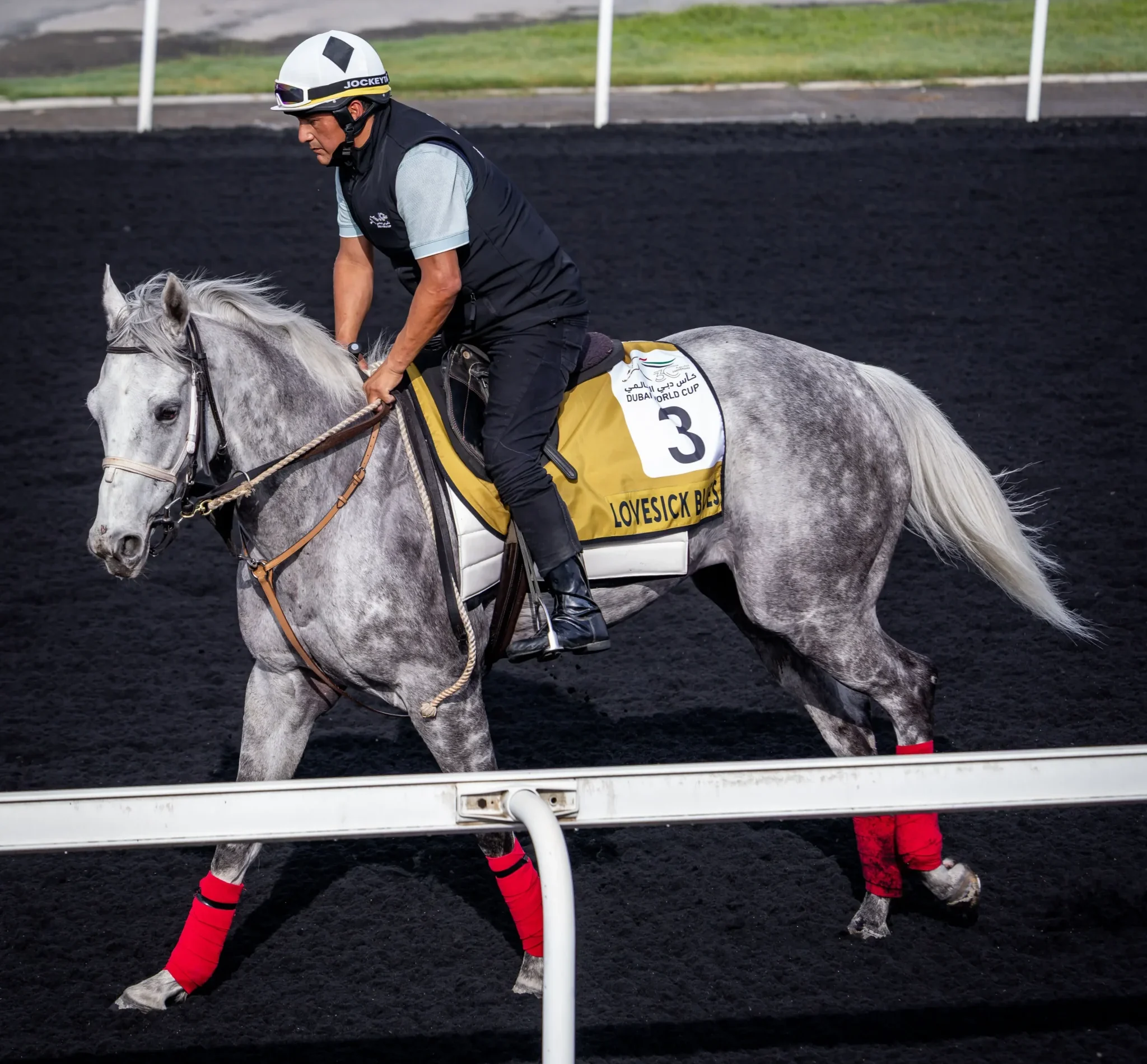 Inside Dubai World Cup, Where Horses and High Society Collide, Gorgeous Glory in the Desert