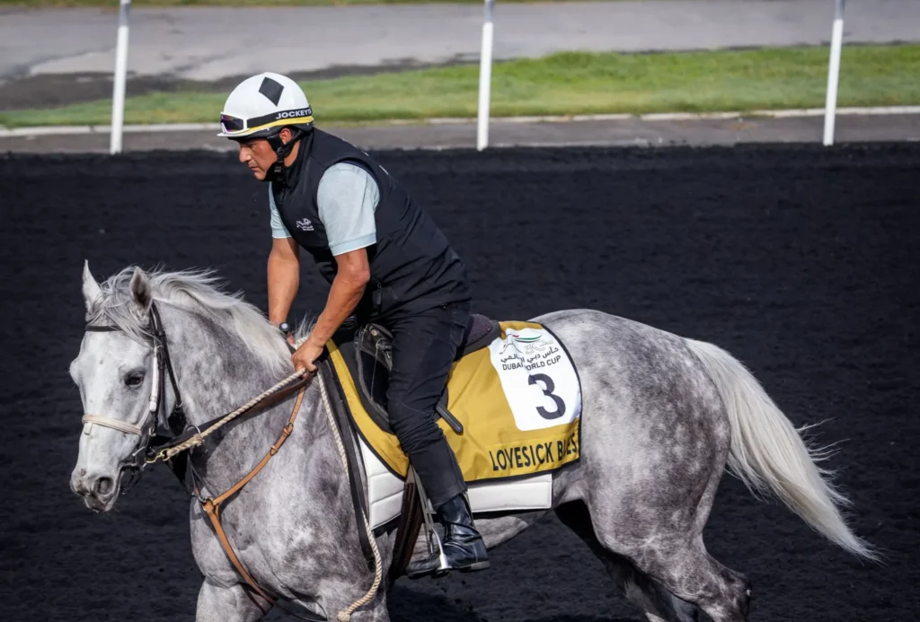 Inside Dubai World Cup, Where Horses and High Society Collide, Gorgeous Glory in the Desert