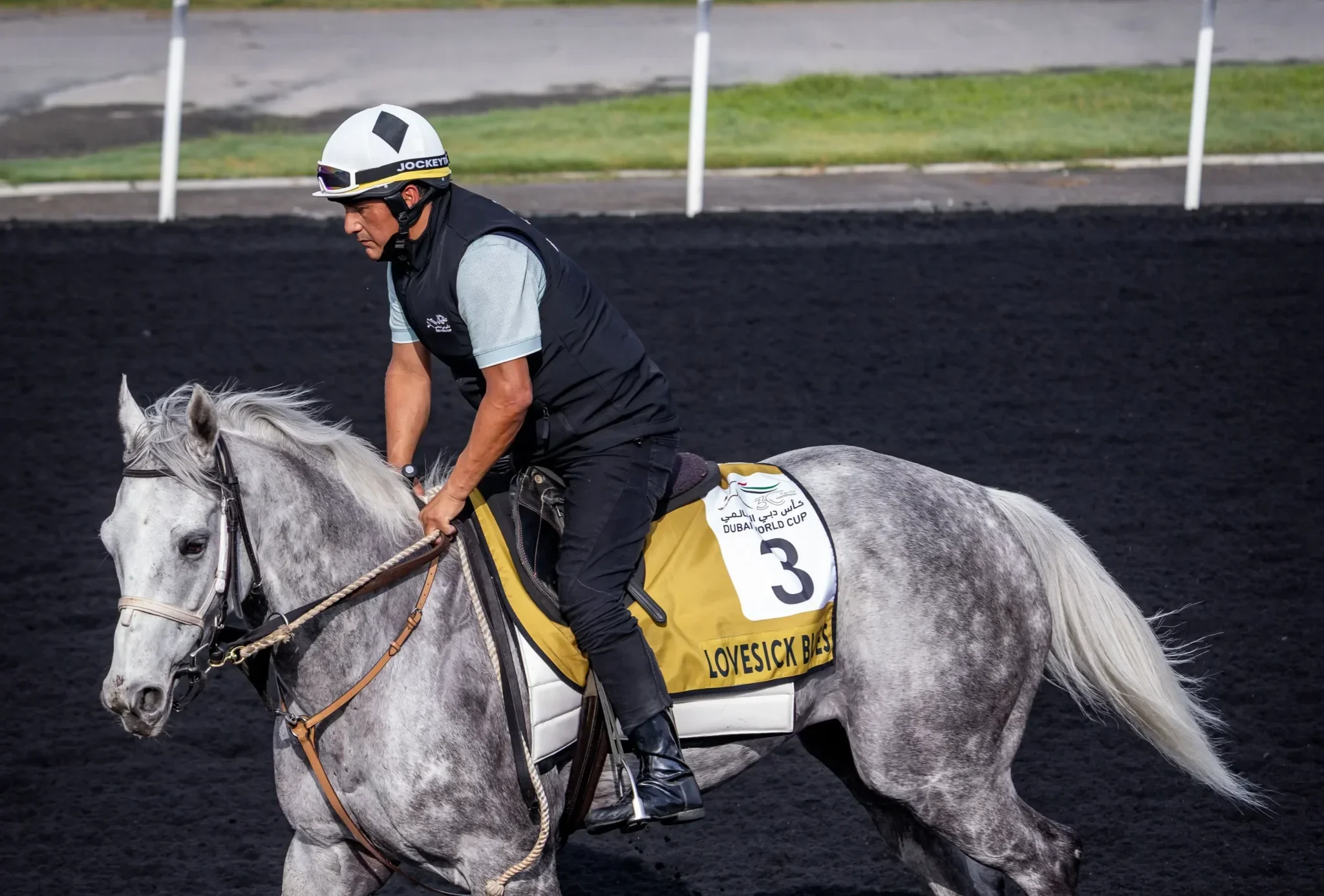 Inside Dubai World Cup, Where Horses and High Society Collide, Gorgeous Glory in the Desert