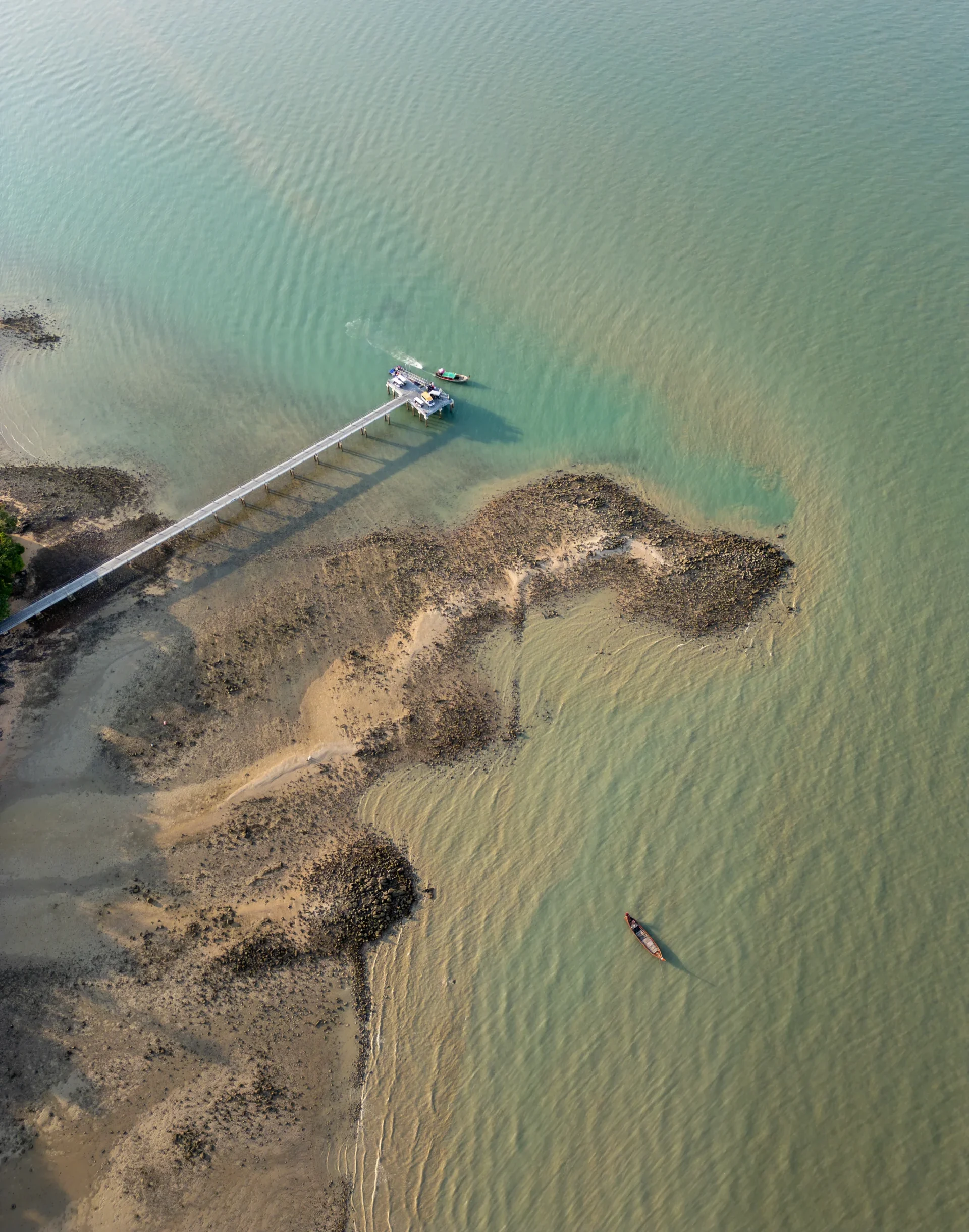 The Secret Beneath the Sand