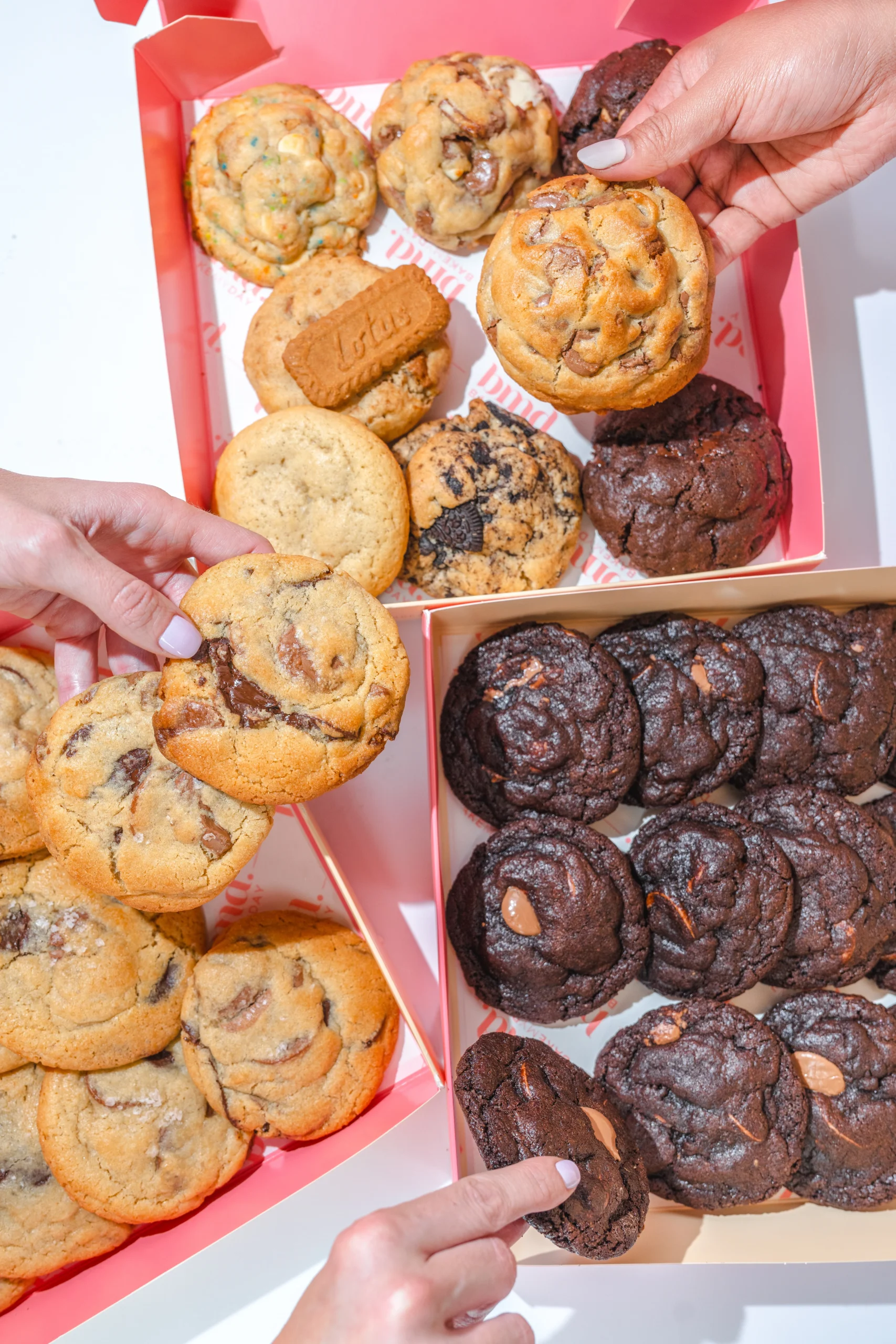 Yasmeen Jisri, Building Bake My Day Without Losing Herself