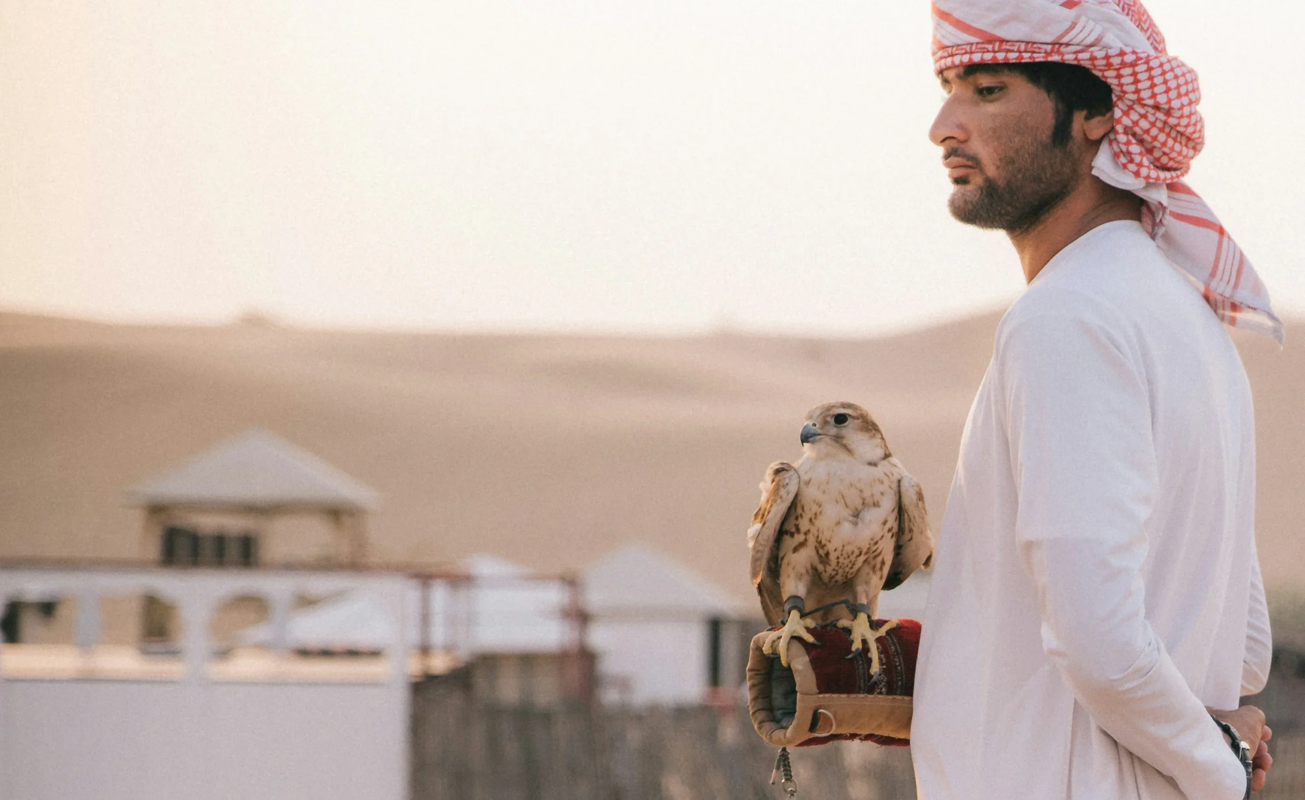 Generation Zayed, The Young Emiratis Reimagining Identity, Creativity, and Influence in a New Gulf Era