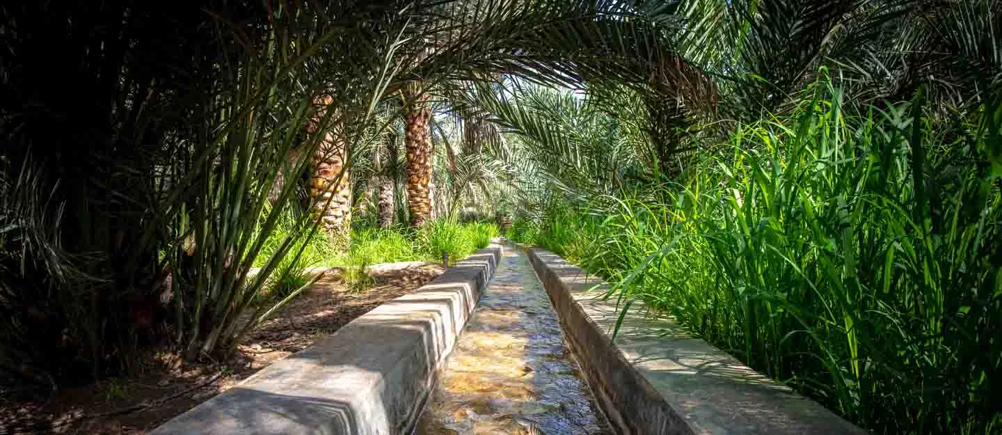 Engineering Survival, The 3,000-Year-Old Falaj Systems