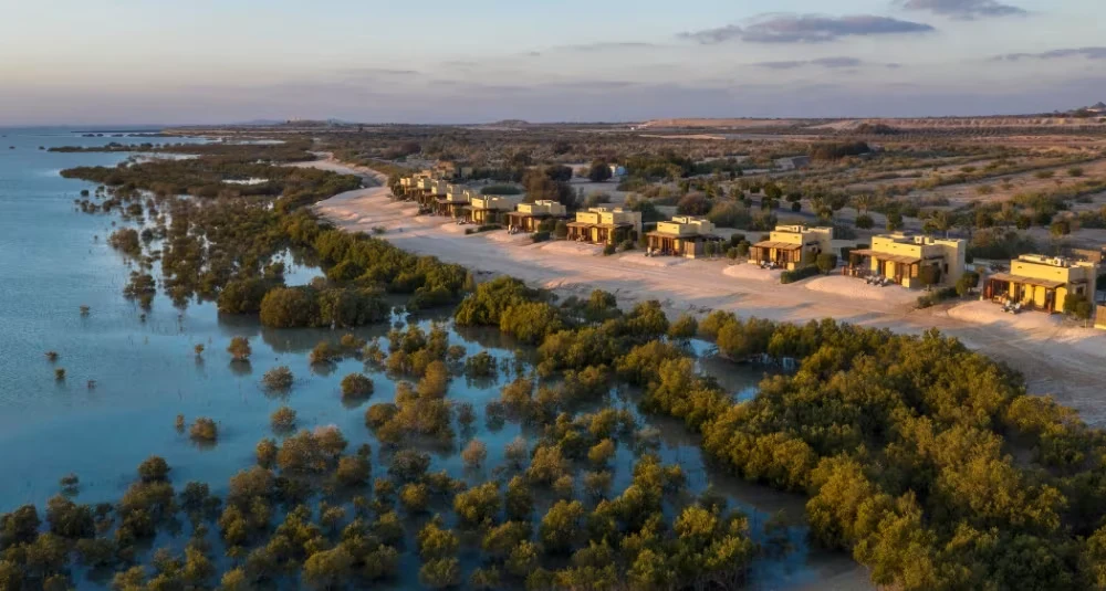 Rewilding the Desert, The Remarkable Story of Sir Bani Yas Island