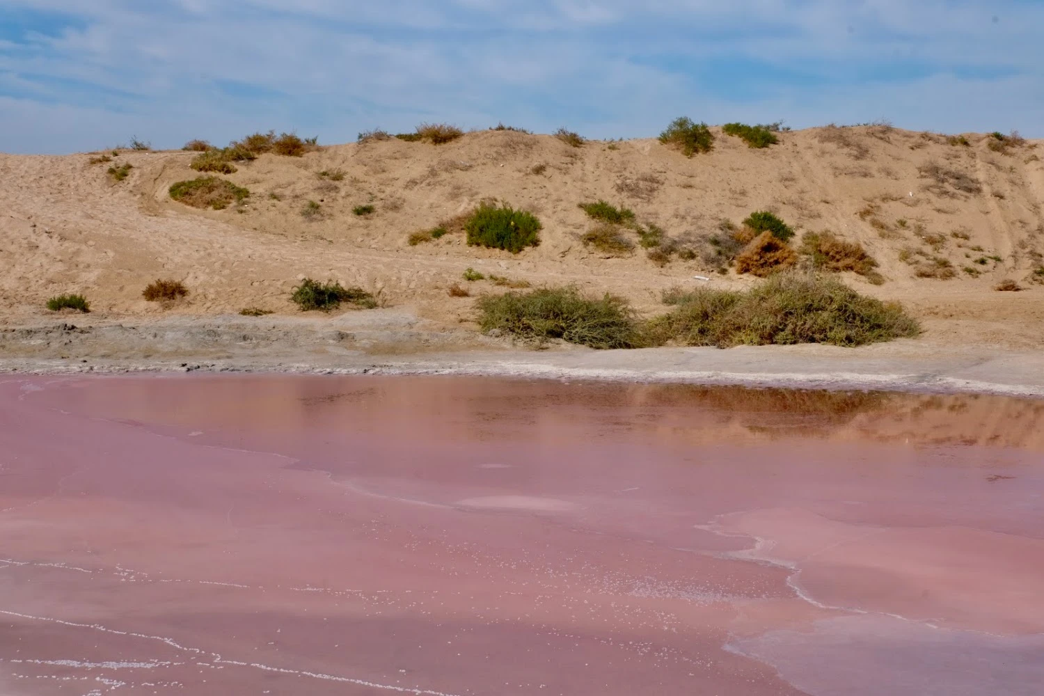 The Pink Lake of Ras Al Khaimah